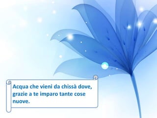 Acqua che vieni da chissà dove,
grazie a te imparo tante cose
nuove.
 