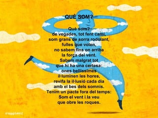 QUÈ SOM? Què som? de vegades, tot fent camí, som grans de sorra rodolant, fulles que volen, no sabem fins on arriba la for...