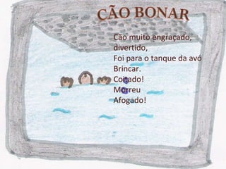 Cão muito engraçado, divertido, Foi para o tanque da avó Brincar. Coitado! Morreu Afogado! 