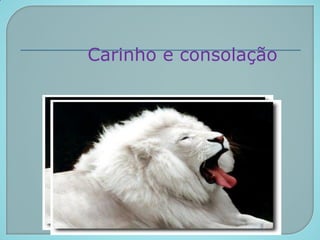 Carinho e consolação
 