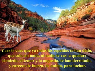 Cuando veas que ya todas las espaldas te han dado,
   que solo sin nada, ni nadie te vas a quedar;
el miedo, el temor y la angustia, te han derrotado,
    y careces de fuerza, de ánimo, para luchar.
 