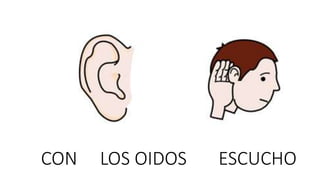 CON LOS OIDOS ESCUCHO
 