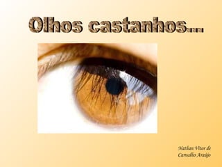 Olhos castanhos... Nathan Vitor de Carvalho Araújo 