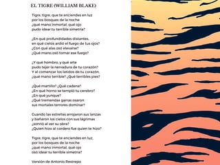 EL TIGRE (WILLIAM BLAKE)
Tigre, tigre, que te enciendes en luz
por los bosques de la noche
¿qué mano inmortal, qué ojo
pudo idear tu terrible simetría?
¿En qué profundidades distantes,
en qué cielos ardió el fuego de tus ojos?
¿Con qué alas osó elevarse?
¿Qué mano osó tomar ese fuego?
¿Y qué hombro, y qué arte
pudo tejer la nervadura de tu corazón?
Y al comenzar los latidos de tu corazón,
¿qué mano terrible? ¿Qué terribles pies?
¿Qué martillo? ¿Qué cadena?
¿En qué horno se templó tu cerebro?
¿En qué yunque?
¿Qué tremendas garras osaron
sus mortales terrores dominar?
Cuando las estrellas arrojaron sus lanzas
y bañaron los cielos con sus lágrimas
¿sonrió al ver su obra?
¿Quien hizo al cordero fue quien te hizo?
Tigre, tigre, que te enciendes en luz,
por los bosques de la noche
¿qué mano inmortal, qué ojo
osó idear tu terrible simetría?
Versión de Antonio Restrepo
 