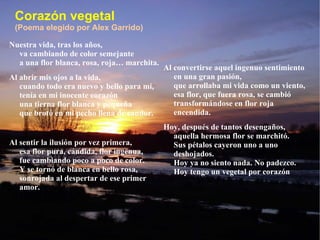 Corazón vegetal (Poema elegido por Alex Garrido) Nuestra vida, tras los años, va cambiando de color semejante a una flor blanca, rosa, roja… marchita.  Al abrir mis ojos a la vida, cuando todo era nuevo y bello para mí, tenía en mi inocente corazón una tierna flor blanca y pequeña que brotó en mi pecho llena de candor. Al sentir la ilusión por vez primera, esa flor pura, cándida, flor ingenua, fue cambiando poco a poco de color. Y se tornó de blanca en bello rosa, sonrojada al despertar de ese primer amor. Al convertirse aquel ingenuo sentimiento en una gran pasión, que arrollaba mi vida como un viento, esa flor, que fuera rosa, se cambió transformándose en flor roja encendida. Hoy, después de tantos desengaños, aquella hermosa flor se marchitó. Sus pétalos cayeron uno a uno deshojados. Hoy ya no siento nada. No padezco. Hoy tengo un vegetal por corazón 