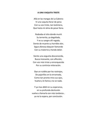 A UNA VAQUITA TRISTE

 Allá en las mangas de La Cabrera
   Vi una vaquita llorar de pena
  Con su voz triste, tan lastimera,
 Que hasta mi alma de pesar llena.

   Rodeaba el sitio donde murió
     Su ternerita, ya degollada,
     Y ve su sangre allí regada;
 Siente de muerte su horrible olor,
  Sigue afanosa doquier llamando
  Con su materno y hondo dolor.

 Siente una angustia desconocida,
   Busca incesante, con aflicción,
 Con voz más triste y enronquecida
    Por su continúa reiteración.

  Oye un ruidito por los rastrojos,
   De pajarillos en la enramada,
  Como tan pronto mira sus ojos,
  Vuelve y le llama y no ve nada.

  Y ya mas débil en su esperanza,
     en su profunda desilusión
vuelve a llamarla con más tardanza…
  ya no la espera, por conclusión.
 