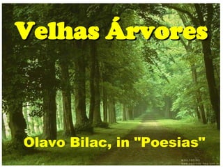 Velhas Árvores



Olavo Bilac, in "Poesias"
 