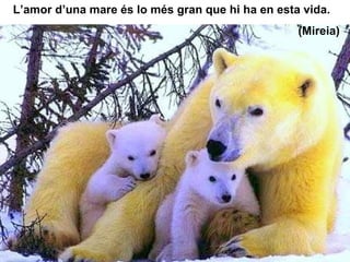 L’amor d’una mare és lo més gran que hi ha en esta vida. (Mireia) 