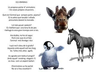 ELS ANIMALS
Us proposo parlar d’ animalons
i les seves pròpies situacions.
Quin és l’animal que sempre porta pijama?
És la zebra que tacada i rallada
presumeix davant la manada.
I el més pesat i potent?
És l’elefant que una tona fa de pes
i belluga la seva gran trompa com si res.
Ara dubto, no ho sé segur.
Però crec que és el lleó
l’animal més ferotge i dur.

I què me’n dieu de la girafa?
Aquesta amb aquell coll tan llarg
les fulles més altes agafa.
Us agrada com balla el pingüí?
Amb aquell smoking elegant i fi
es mou com un expert ballarí.
D’animalons us he parlat
No sé si heu escoltat!!!

 