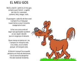 EL MEU GOS
Bonic, eixerit i petit és el meu gos
sempre quan l’anem a agafar
per dur-lo a passejar
content, feliç i alegre està.
El passegem cada dia de bon matí
i sempre fa un llarg pipí
i quan torna a casa li encanta
rosega tot el coixí.
Si fas una cursa amb ell
segur que guanyador quedarà
és tan ràpid i decidit
que en vergonya et deixarà.
Quan menja no pensa en res
i sempre en menjaria més
si la crides, no et vindrà
perquè ell menjant està.
Al dormir tranquil·la es queda
perquè ja es hora de descansar,
i no es torna ha despertar
fins ben tard de l’endemà.

 