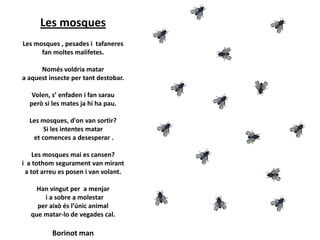 Les mosques
Les mosques , pesades i tafaneres
fan moltes malifetes.
Només voldria matar
a aquest insecte per tant destobar.
Volen, s’ enfaden i fan sarau
però si les mates ja hi ha pau.
Les mosques, d'on van sortir?
Si les intentes matar
et comences a desesperar .
Les mosques mai es cansen?
i a tothom segurament van mirant
a tot arreu es posen i van volant.

Han vingut per a menjar
i a sobre a molestar
per això és l’únic animal
que matar-lo de vegades cal.

Borinot man

 