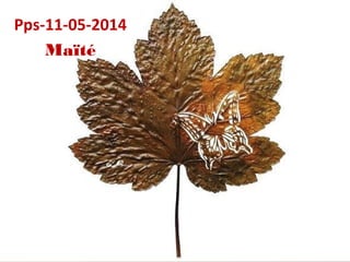 Pps-11-05-2014
Maïté
 