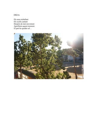 CE2 A
Els nens treballant
Els ocells cantant
Després de tant moviment
Aprofitem aquest moment.
El pati ha quedat sol…
 