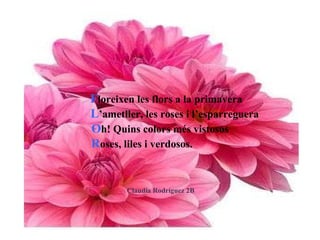 F loreixen les flors a la primavera L ’ametller, les roses i l’esparreguera O h! Quins colors més vistosos R oses, liles i verdosos.   Claudia Rodríguez 2B  