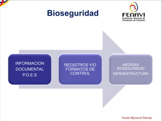INFORMACION
DOCUMENTAL
P.O.E.S
REGISTROS Y/O
FORMATOS DE
CONTROL
MEDIDAS
BIOSEGURIDAD
INFRAESTRUCTURA
Bioseguridad
 
