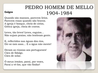PEDRO HOMEM DE MELLO1904-1984GalgosQuando são mansos, parecem lírios.Parecem rosas quando são bravos.A igreja é bosque, cheio de círios,Gótica igreja, cheia de cravos.Leves, tão leves! Leves, esguios…Não sujam praias; não lembram gente.E, reflectidos nas águas dos rios,Dir-se-iam asas… E a água não mente!Deram as rússias aos portugueses!Cães de fidalgo.Cães de solar.Ó meus irmãos, parai, por vezes,Parai a vê-los, que vão findar!