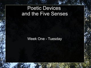 Poetic Devices  and the Five Senses Week One - Tuesday 