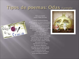 a,
Oda a la Cebolla
(Autor: Pablo Neruda)
“Cebolla luminosa redoma,
pétalo a pétalo se formó tuhermosur
escamas de cristal te acrecentaron
y en el secreto de la tierraoscura
se redondeó tu vientre de rocío (…)
Estrella de los pobres, hada madrina
envuelta en delicadopapel,
sales delsuelo,
eterna, intacta, pura
como semilla de astro
y al cortarte el cuchillo en la cocina
sube la única lágrima sin pena.
Nos hiciste llorar sin afligirnos.
Yo cuanto existes celebré,cebolla,
pero para mí eres
más hermosa que un ave
de plumas cegadoras,
eres para mis ojos globoceleste,
copa de platino, baile inmóvil
de anémona nevada
y vive la fragancia de la tierra
en tu naturaleza cristalina”.
 