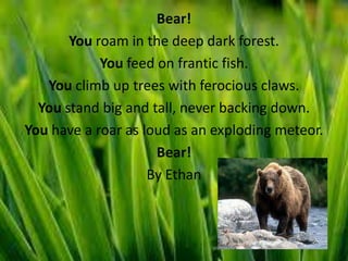 Bear!
       You roam in the deep dark forest.
            You feed on frantic fish.
   You climb up trees with ferocious claws.
  You stand big and tall, never backing down.
You have a roar as loud as an exploding meteor.
                     Bear!
                    By Ethan
 