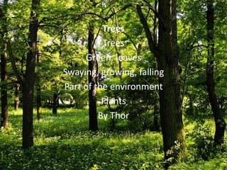 Trees
          Trees
     Green, leaves
Swaying, growing, falling
Part of the environment
          Plants
         By Thor
 