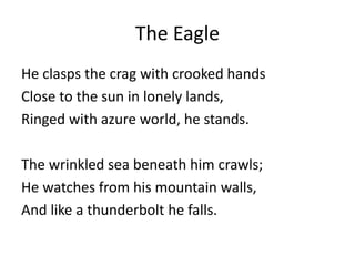 The Eagle
He clasps the crag with crooked hands
Close to the sun in lonely lands,
Ringed with azure world, he stands.
The wrinkled sea beneath him crawls;
He watches from his mountain walls,
And like a thunderbolt he falls.
