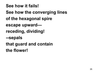 26
See how it fails!
See how the converging lines
of the hexagonal spire
escape upward—
receding, dividing!
--sepals
that guard and contain
the flower!
 