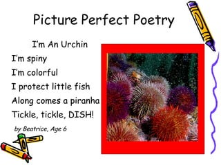Picture Perfect Poetry I’m An Urchin I’m spiny I’m colorful I protect little fish Along comes a piranha Tickle, tickle, DISH! by Beatrice, Age 6 