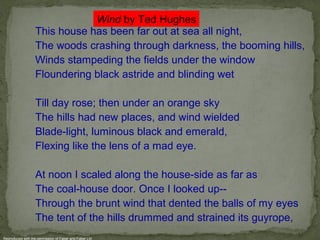 Wind by Ted Hughes
                   This house has been far out at sea all night,
                   The woods crashing through darkness, the booming hills,
                   Winds stampeding the fields under the window
                   Floundering black astride and blinding wet

                   Till day rose; then under an orange sky
                   The hills had new places, and wind wielded
                   Blade-light, luminous black and emerald,
                   Flexing like the lens of a mad eye.

                   At noon I scaled along the house-side as far as
                   The coal-house door. Once I looked up--
                   Through the brunt wind that dented the balls of my eyes
                   The tent of the hills drummed and strained its guyrope,
Reproduced with the permission of Faber and Faber Ltd
 