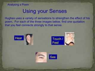 Analysing a Poem

               Using your Senses
Hughes uses a variety of sensations to strengthen the effect of his
poem. For each of the three images below, find one quotation
that you feel connects strongly to that sense.



        Hear                         Touch /
                                     Feel



                                   See
 