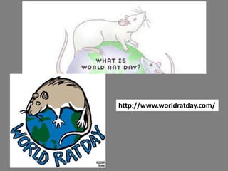 http://www.worldratday.com/
 