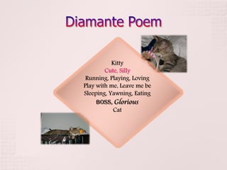 Kitty
        Cute, Silly
 Running, Playing, Loving
Play with me, Leave me be
Sleeping, Yawning, Eating
     Boss, Glorious
           Cat
 