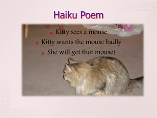    Kitty sees a mouse
   Kitty wants the mouse badly
     She will get that mouse!
 