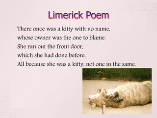 There once was a kitty with no name,
whose owner was the one to blame.
She ran out the front door,
which she had done before.
All because she was a kitty, not one in the same.
 