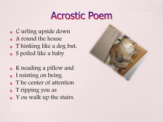    C urling upside down
   A round the house
   T hinking like a dog but,
   S poiled like a baby

   K neading a pillow and
   I nsisting on being
   T he center of attention
   T ripping you as
   Y ou walk up the stairs.
 