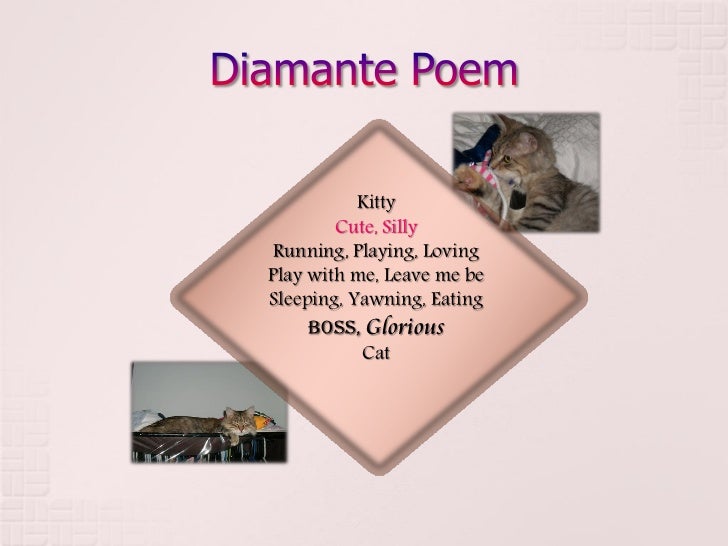 Poetry Book