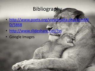 Bibliography
• http://www.poets.org/viewmedia.php/prmMI
  D/5868
• http://www.slideshare.net/?ss
• Google Images
 