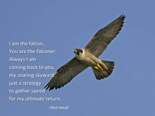 THE POETRY OF LIFE -- Mitch Ditkoff