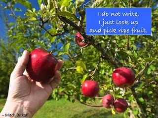 THE POETRY OF LIFE -- Mitch Ditkoff