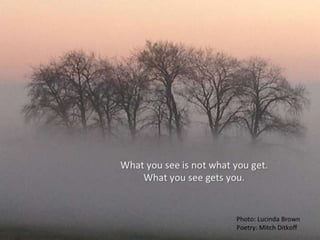 THE POETRY OF LIFE -- Mitch Ditkoff