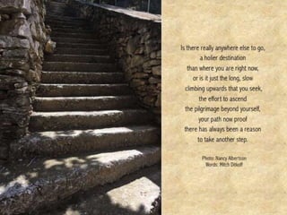 THE POETRY OF LIFE -- Mitch Ditkoff
