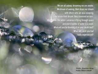 THE POETRY OF LIFE -- Mitch Ditkoff