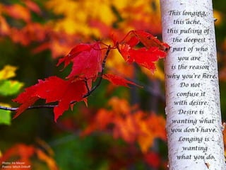 THE POETRY OF LIFE -- Mitch Ditkoff