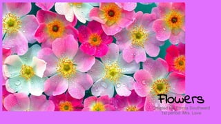 FlowersCreated by: Emma Southward
1st period: Mrs. Love
 