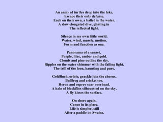 An army of turtles drop into the lake, Escape their only defense. Each on their own, a ballet in the water. A slow elongated dive, glinting in  The reflected light.   Silence in my own little world. Water, wind, muscle, motion. Form and function as one.   Panorama of a sunset,  Purple, lilac, amber and gold. Clouds and pine outline the sky. Ripples on the water shimmer with the failing light. The trill of the loon, haunting and pure.   Goldfinch, oriole, grackle join the chorus, Bullfrog and cricket too. Heron and osprey soar overhead. A halo of blackflies silhouetted on the sky. A fly kisses the surface.   On shore again. Canoe in its place. Life is simpler, still After a paddle on Swains. 