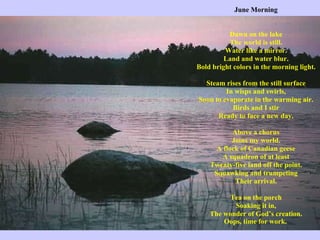 June Morning   Dawn on the lake The world is still. Water like a mirror. Land and water blur. Bold bright colors in the morning light.   Steam rises from the still surface In wisps and swirls, Soon to evaporate in the warming air. Birds and I stir Ready to face a new day.   Above a chorus Joins my world. A flock of Canadian geese A squadron of at least Twenty-five land off the point. Squawking and trumpeting Their arrival.   Tea on the porch Soaking it in, The wonder of God’s creation. Oops, time for work.   