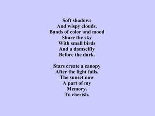 Soft shadows And wispy clouds. Bands of color and mood Share the sky With small birds And a damselfly Before the dark.   Stars create a canopy After the light fails. The sunset now A part of my Memory. To cherish. 
