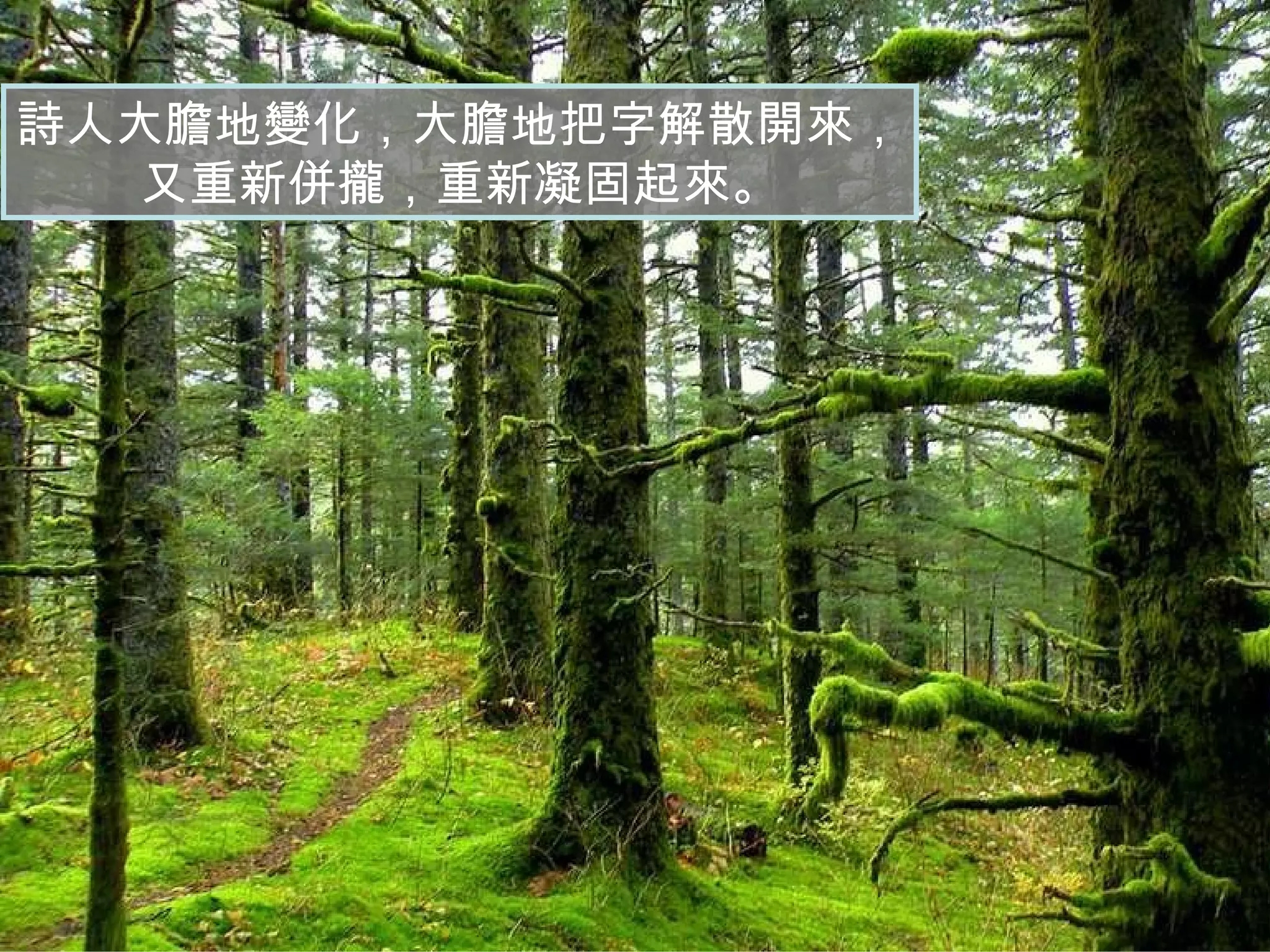 詩人大膽地變化，大膽地把字解散開來， 又重新併攏，重新凝固起來。 