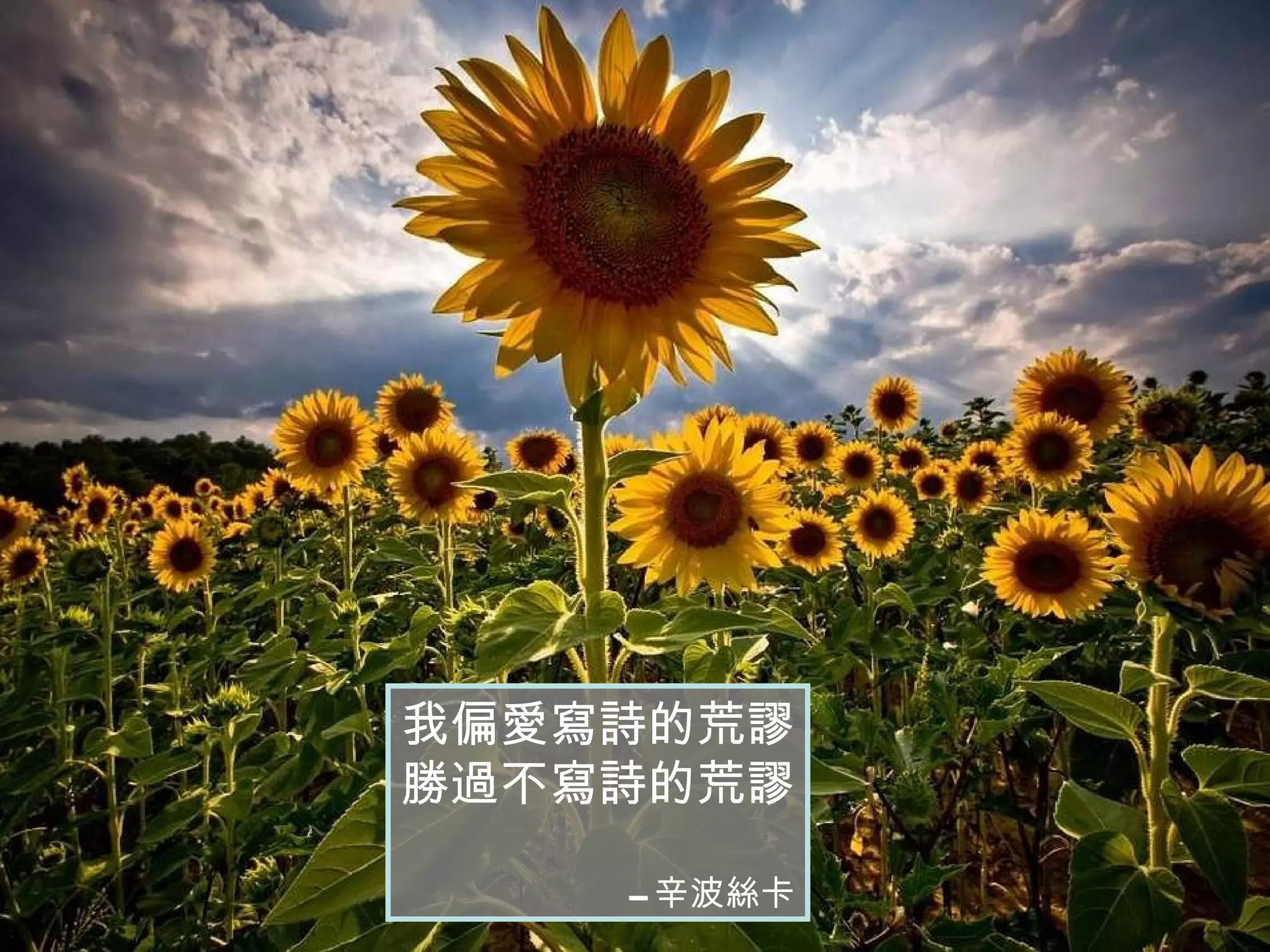 我偏愛寫詩的荒謬 勝過不寫詩的荒謬 -- 辛波絲卡 