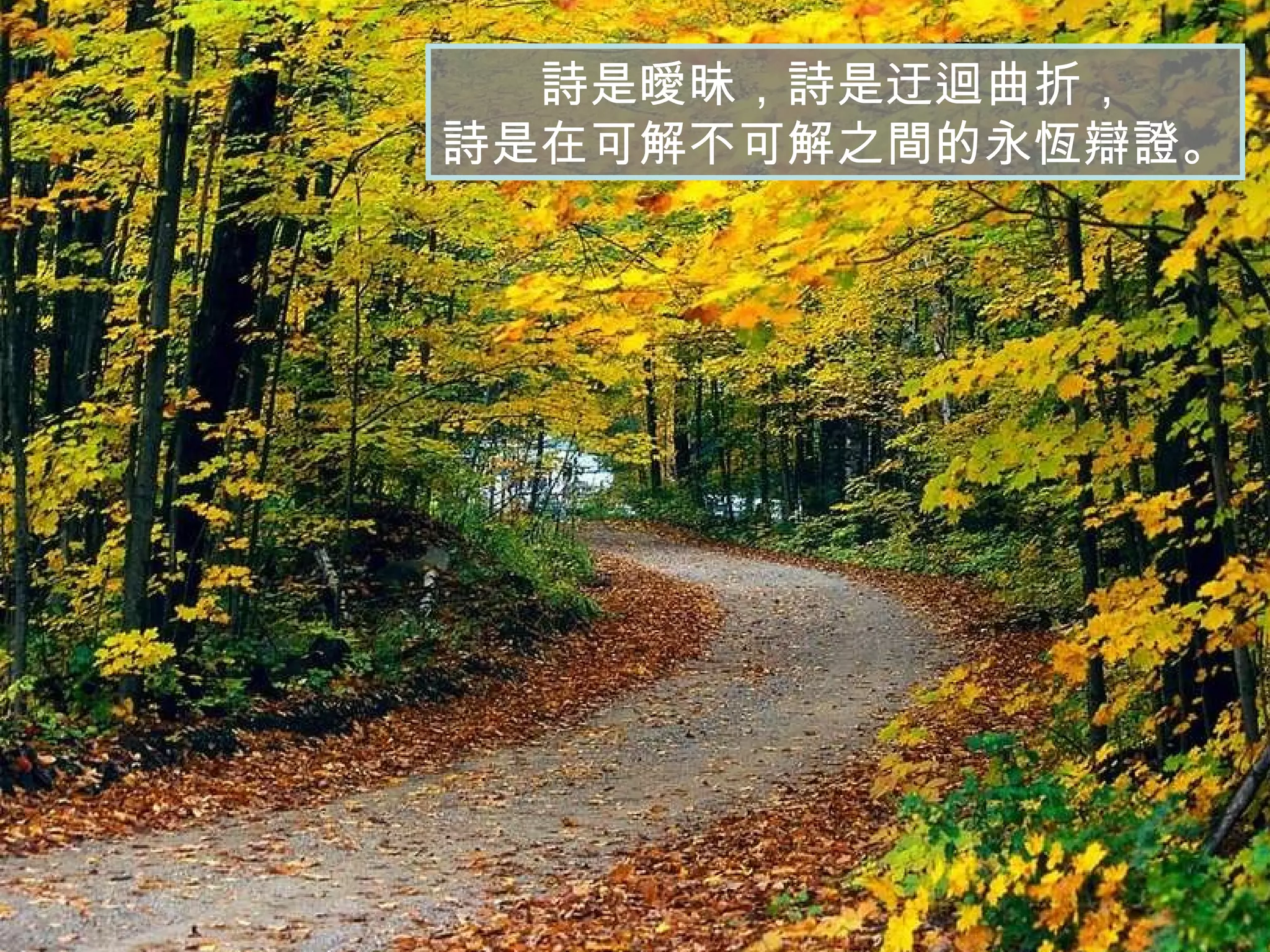 詩是曖昧，詩是迂迴曲折， 詩是在可解不可解之間的永恆辯證。 