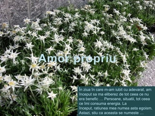 Amor propriuÎnziuaîn care m-am iubit cu adevarat, am începutsa ma eliberez de tot ceeace nu era benefic … Persoane, situatii, tot ceeaceîmiconsumaenergia. La început, ratiunea mea numeaasta egoism.Astazi, stiu ca aceasta se numeste …